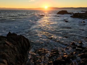 A New Day In Pacific Grove.